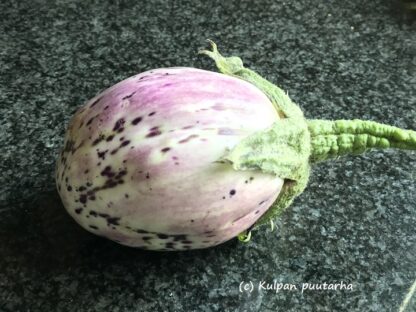 MUNAKOISO 'Rotonda Bianca Sfumata di Rosa' - Image 2